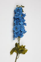 Antirrhinum- Big - Blue