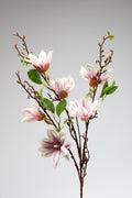 Magnolia - White *Purple 6 Roses