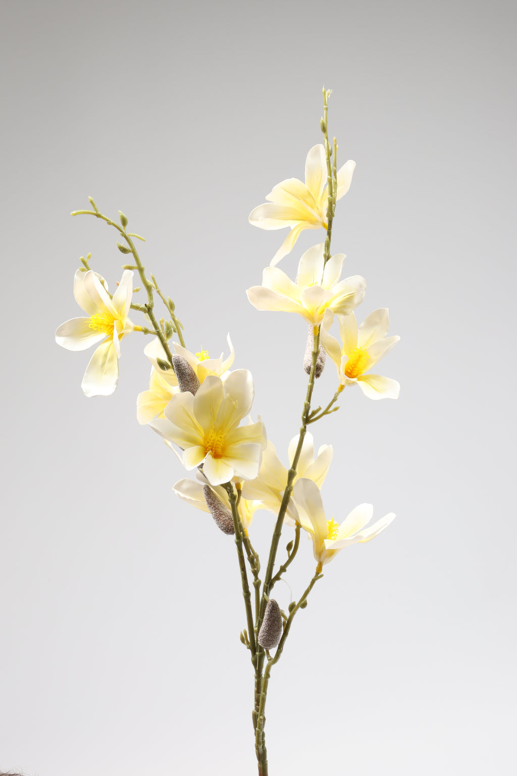 Magnolia- Yellow 6 Roses