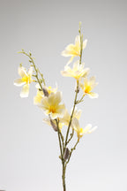 Magnolia- Yellow 6 Roses