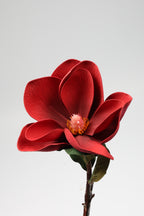 Arreglo - Red
