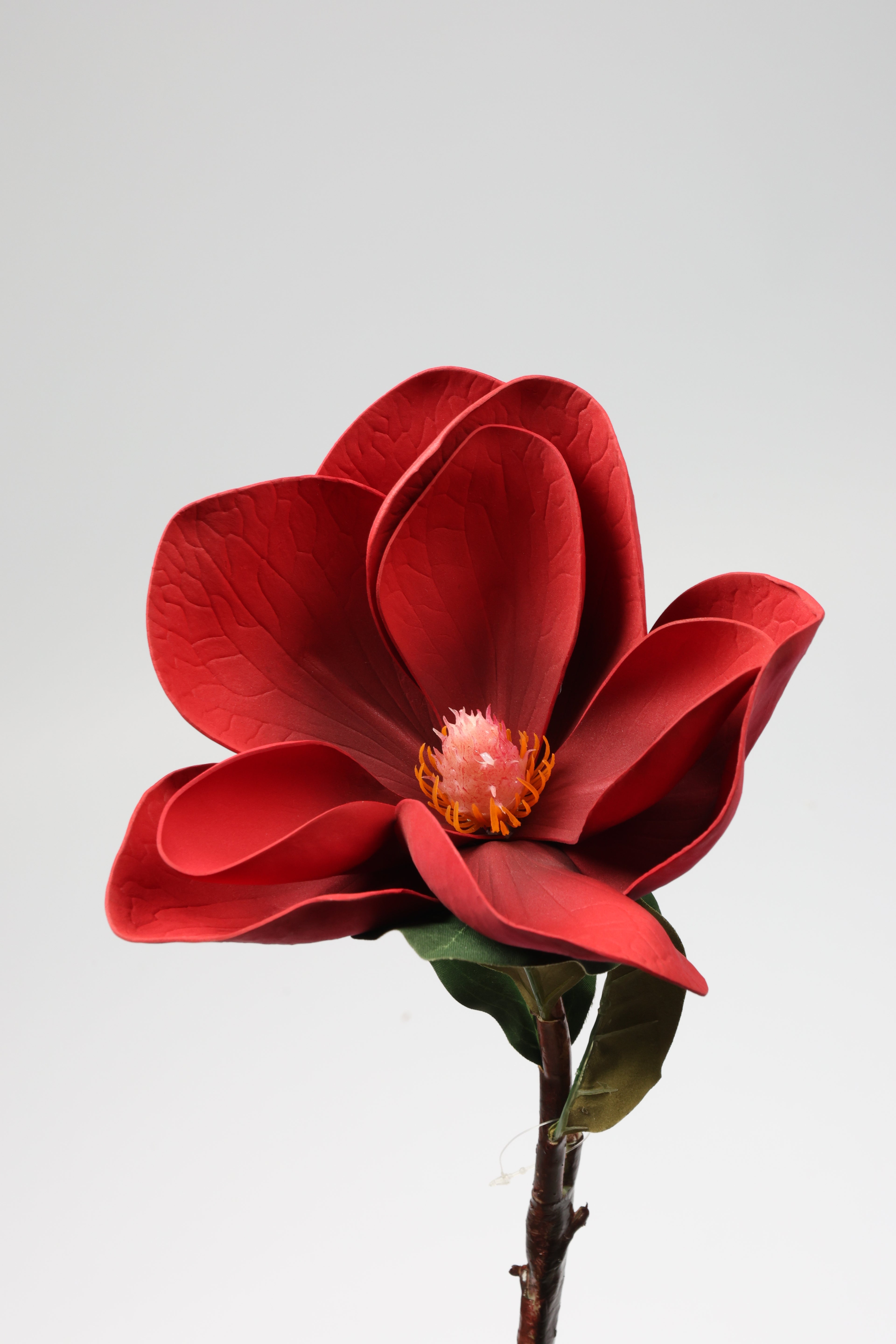 Arreglo - Red