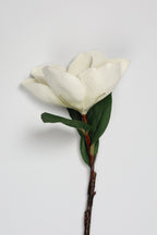 Arreglo -White