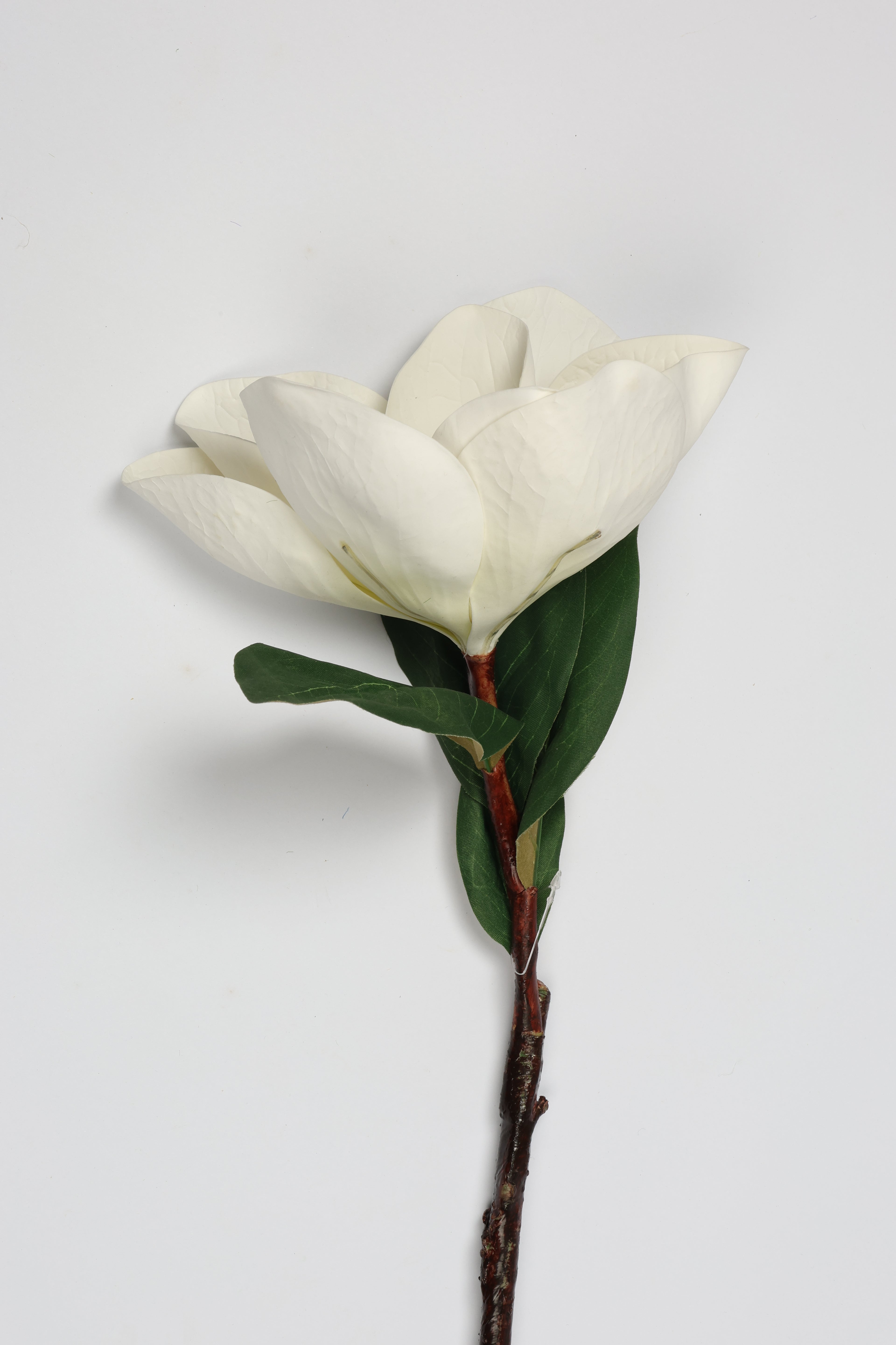 Arreglo -White