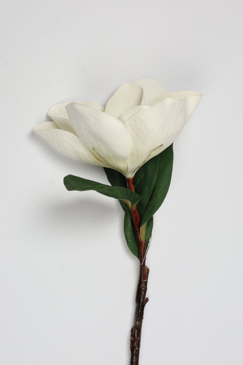 Arreglo -White