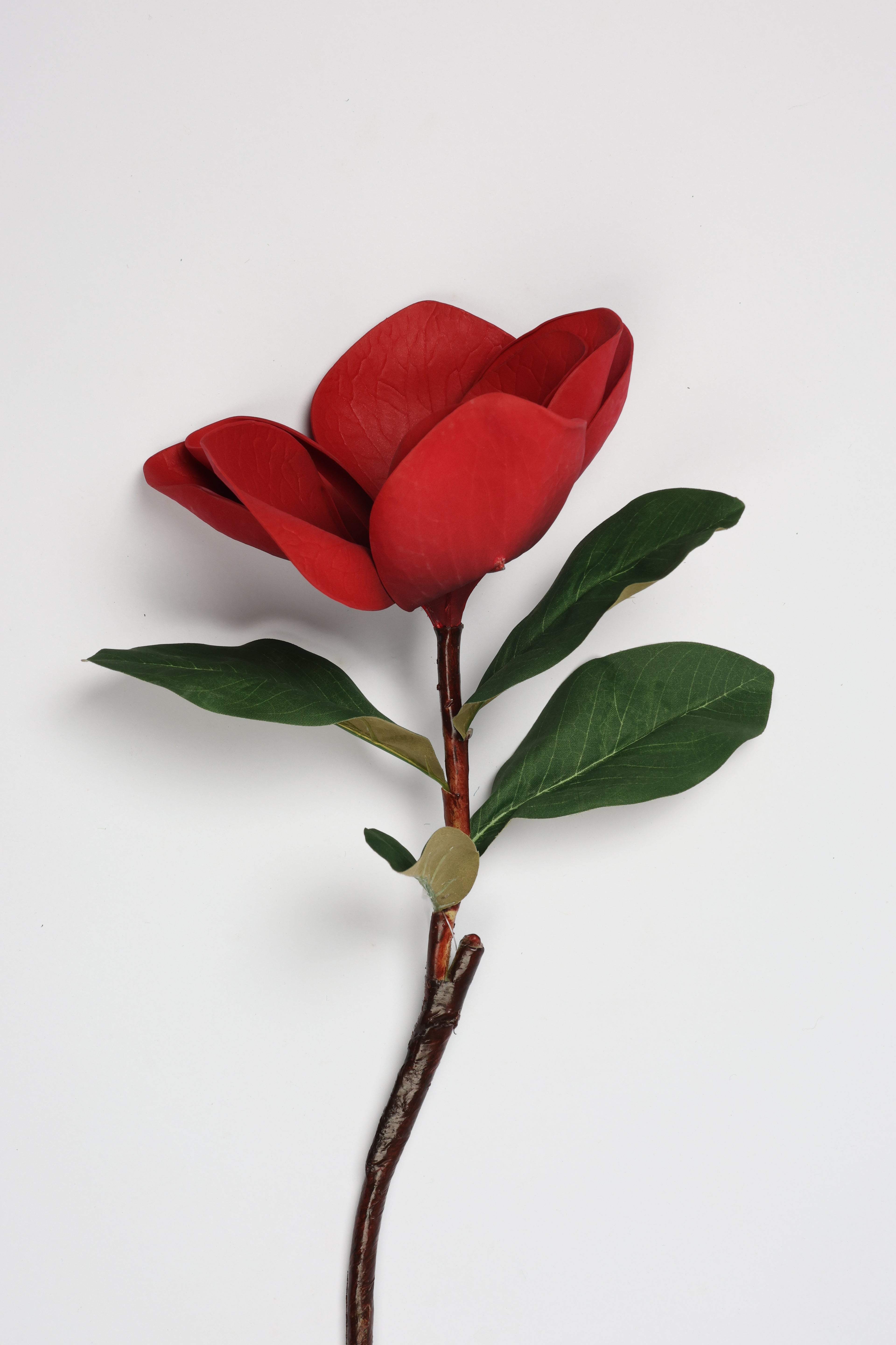 Arreglo - Red