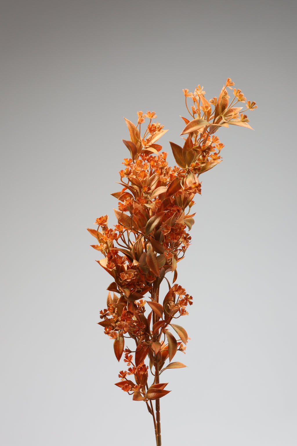 Dried Mini Leaf Stem - Orange