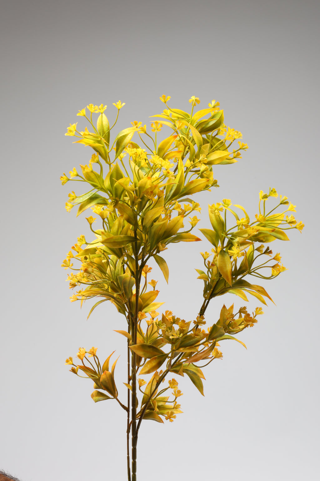 Dried Mini Leaf Stem - Gree*Yellow