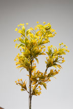 Dried Mini Leaf Stem - Gree*Yellow