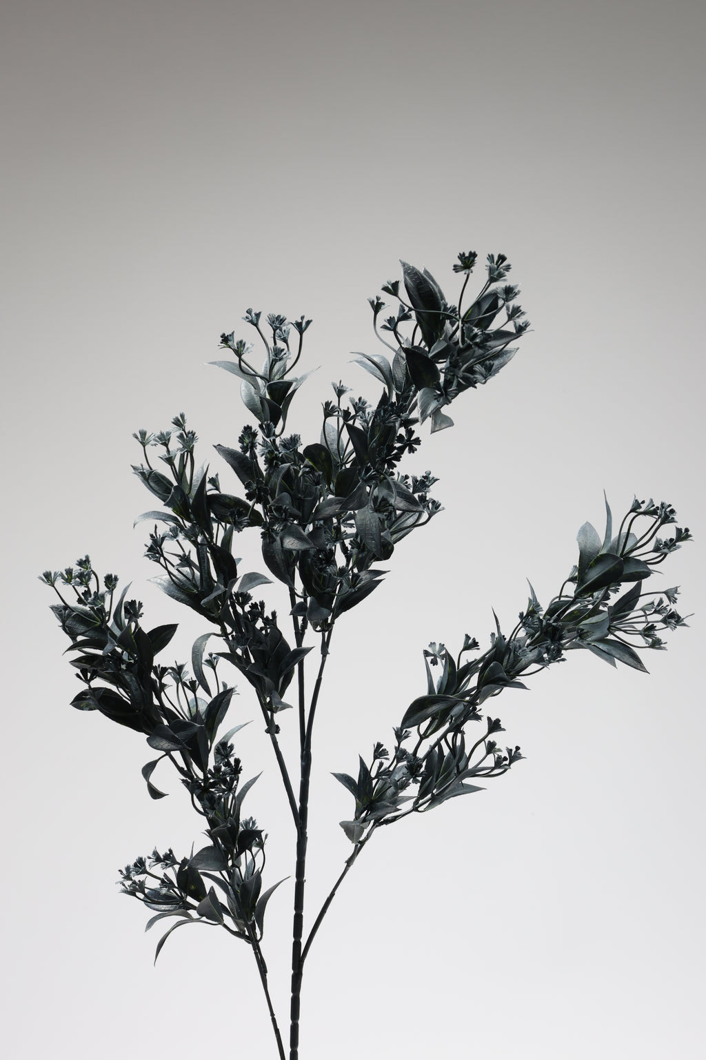 Dried Mini Leaf Steam-  Dark Green