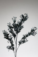 Dried Mini Leaf Steam-  Dark Green