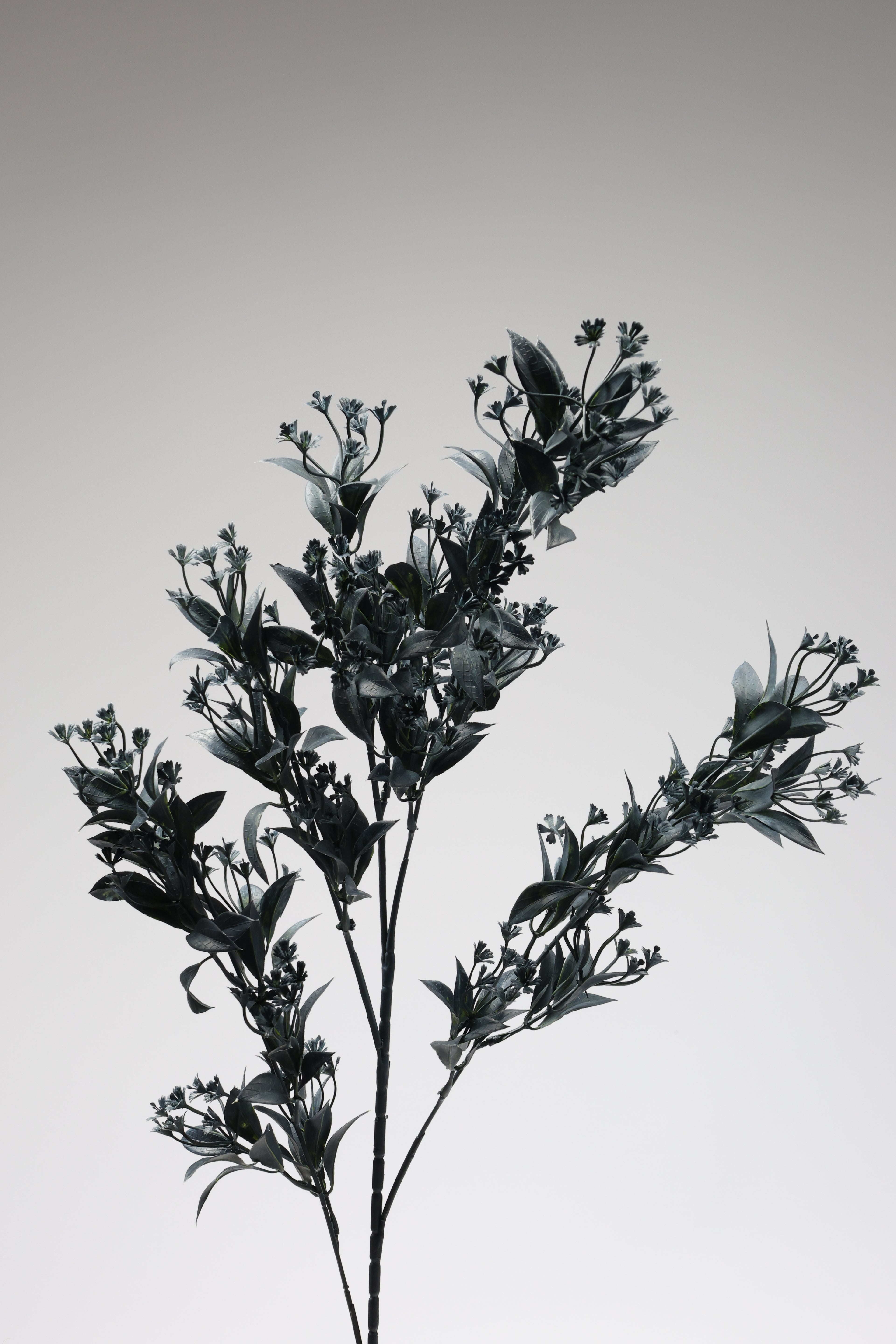 Dried Mini Leaf Steam-  Dark Green