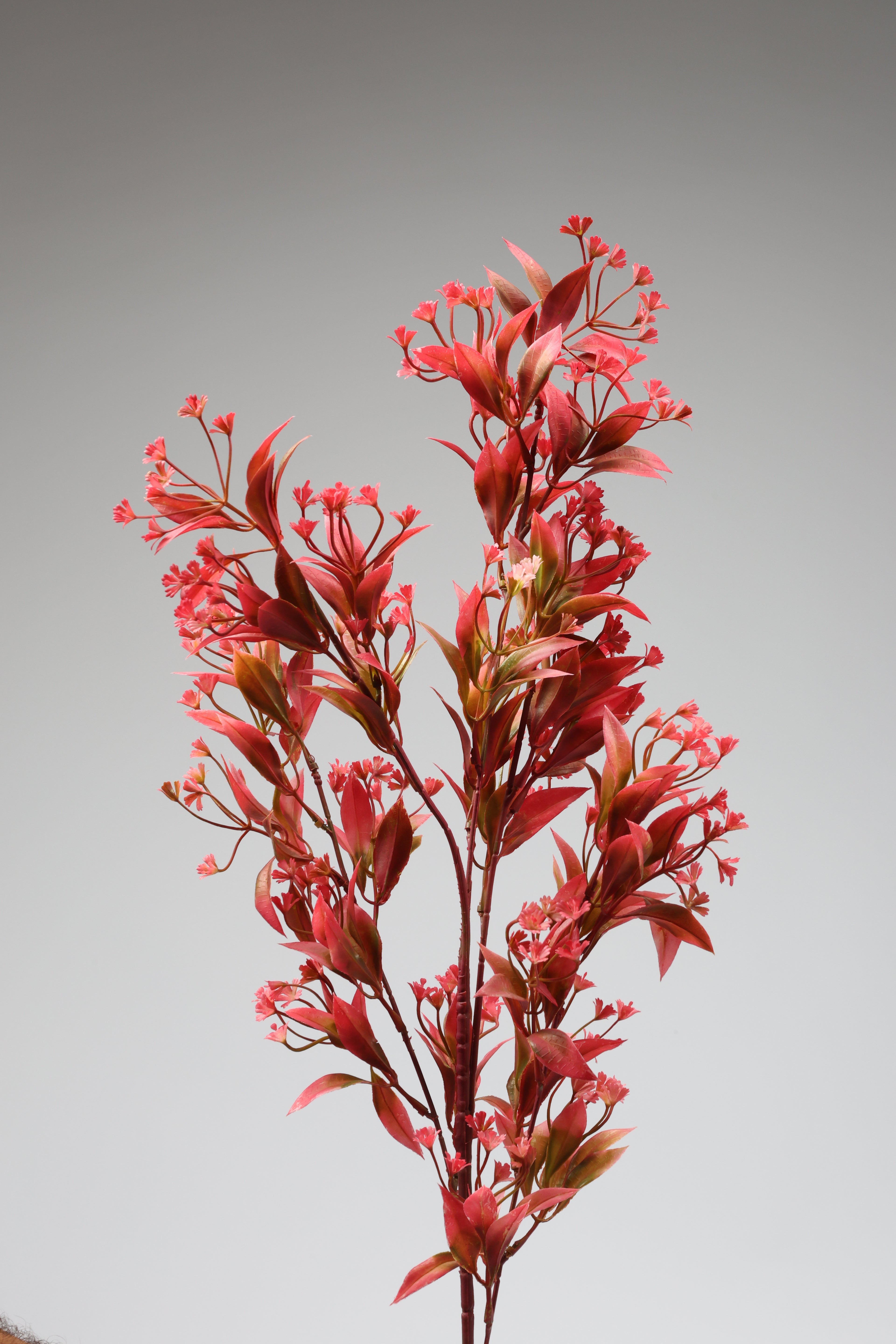 Dried Mini Leaf Stem -  Pink