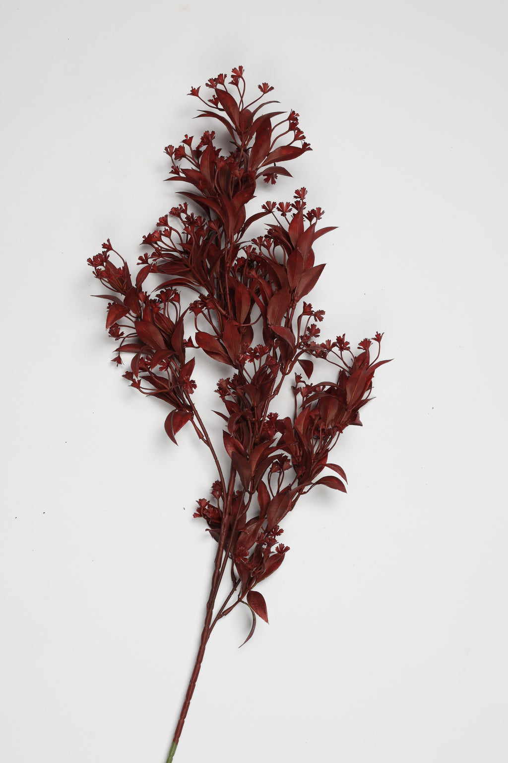 Dried Mini Leaf Steam-  Red