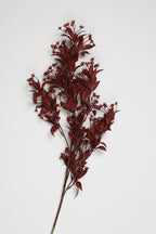 Dried Mini Leaf Steam-  Red