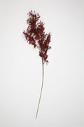 Dried Mini Leaf Steam-  Red
