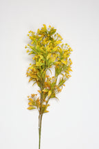 Dried Mini Leaf Stem - Gree*Yellow