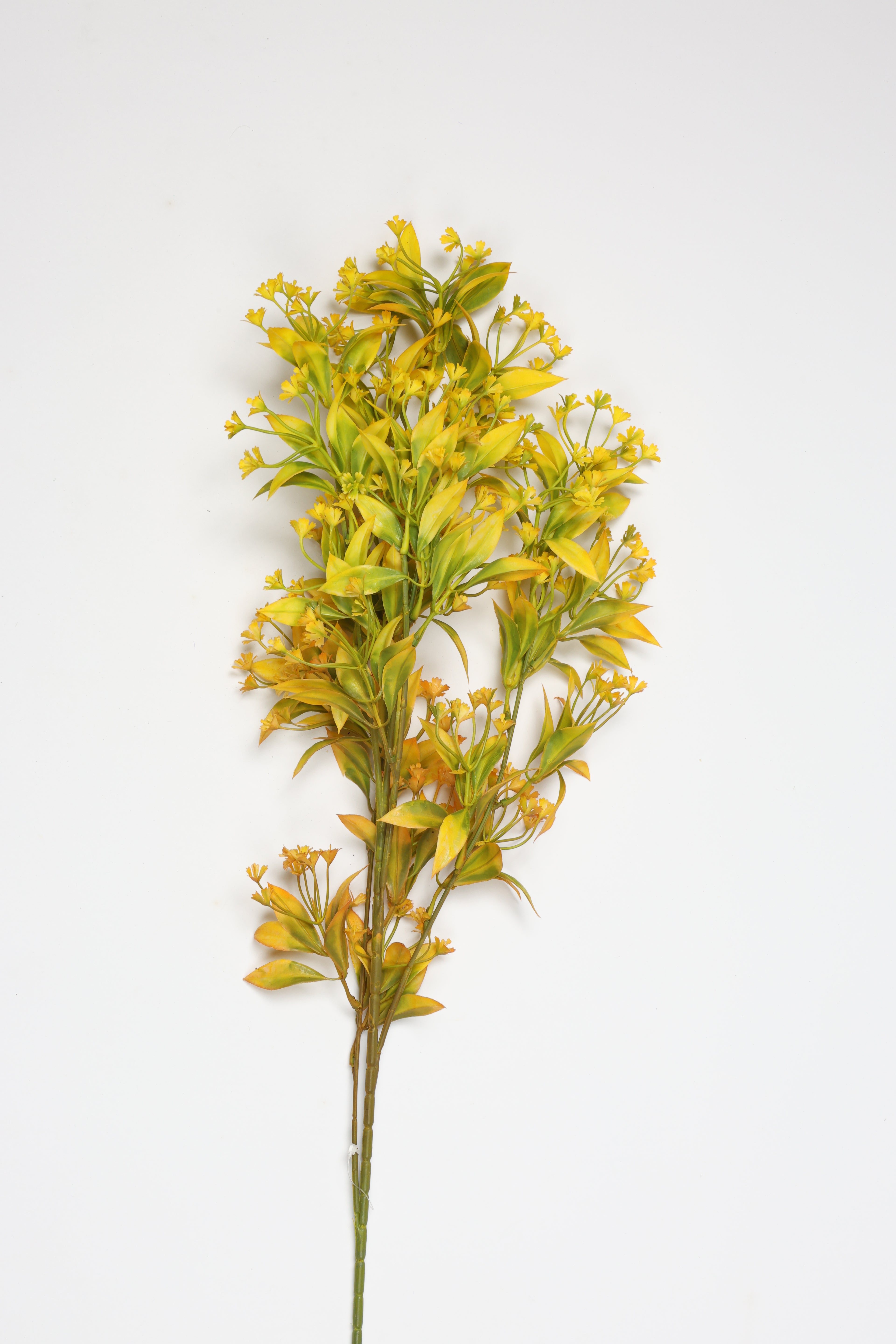 Dried Mini Leaf Stem - Gree*Yellow