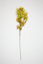 Dried Mini Leaf Stem - Gree*Yellow