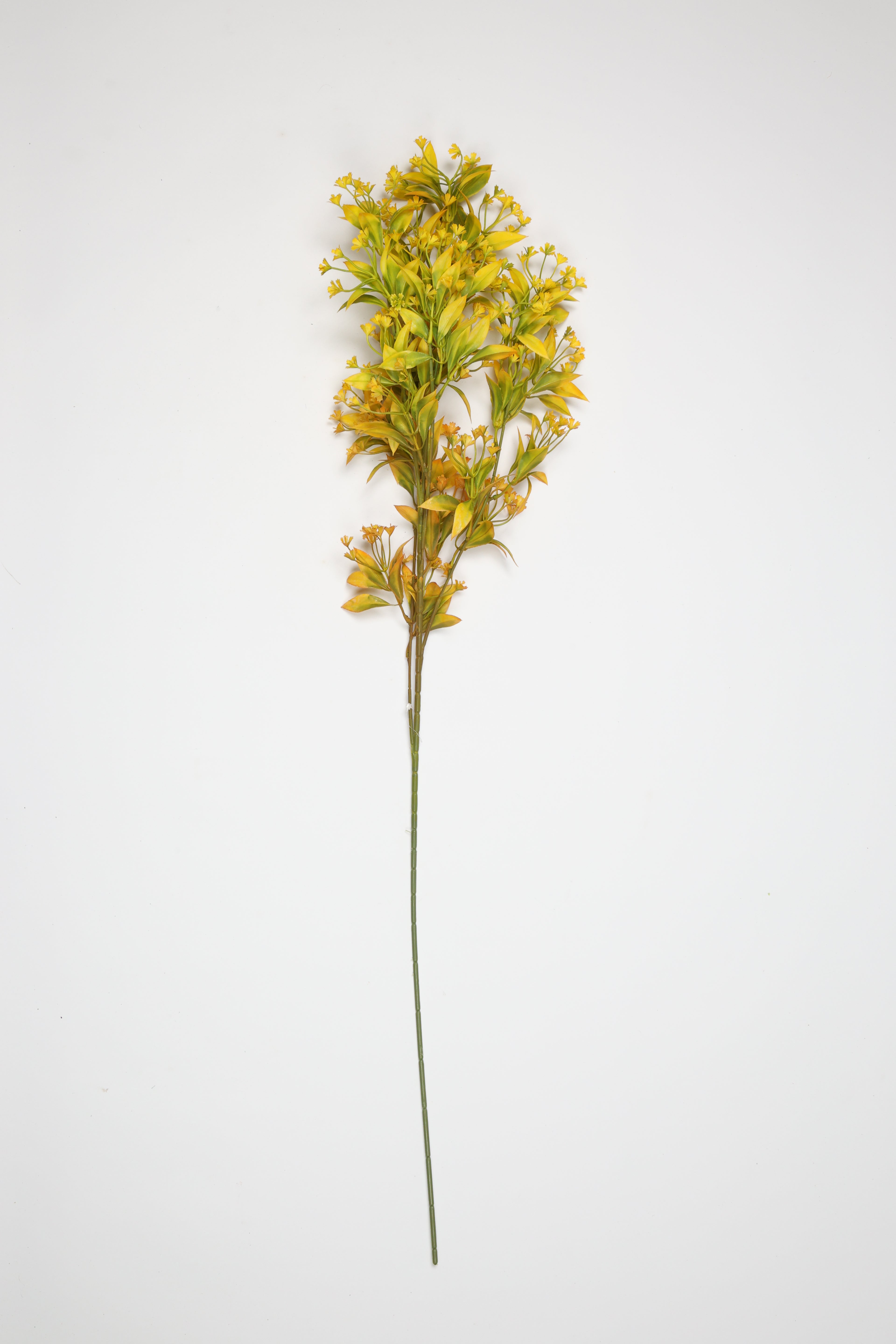 Dried Mini Leaf Stem - Gree*Yellow