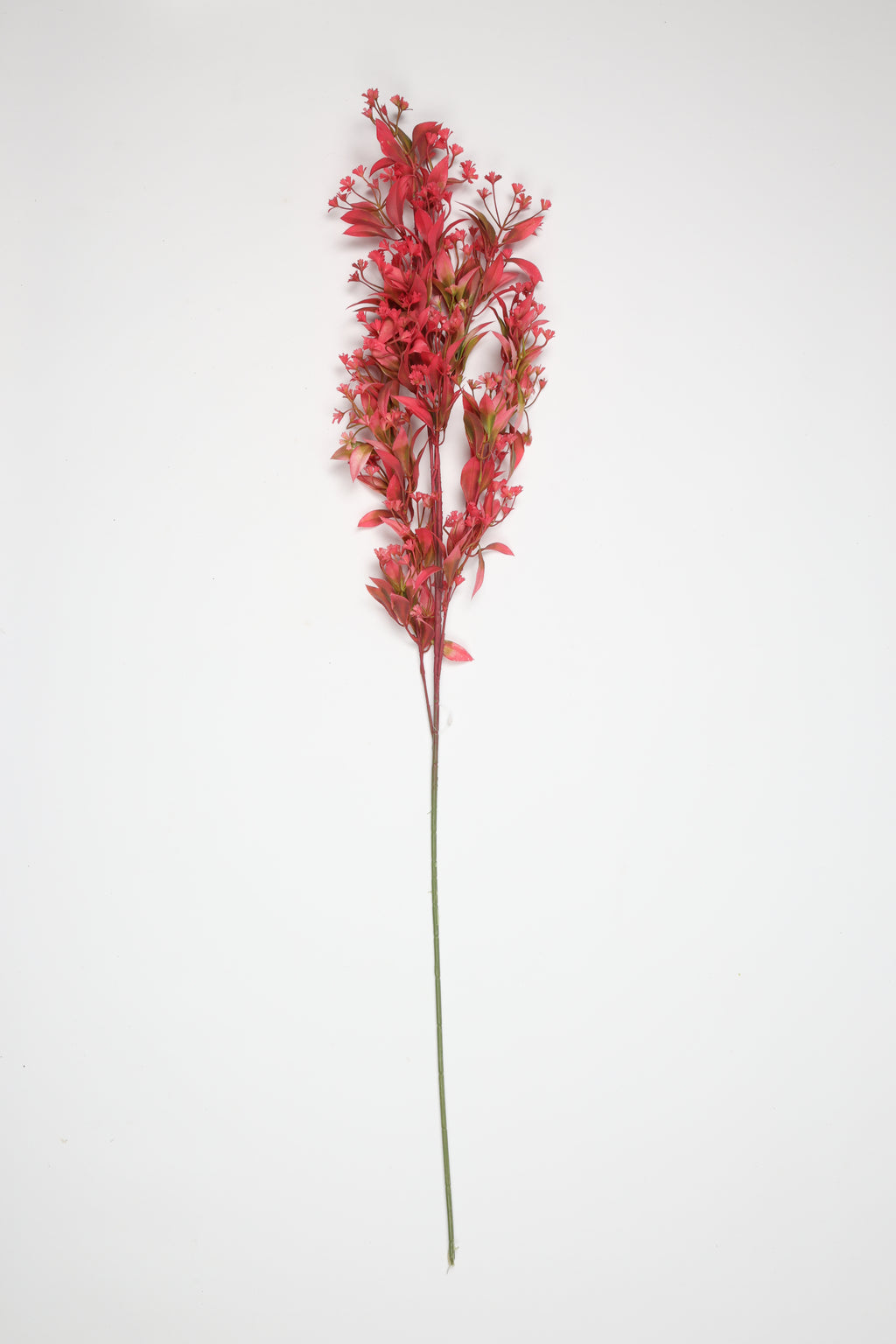Dried Mini Leaf Stem -  Pink