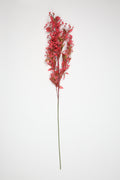 Dried Mini Leaf Stem -  Pink