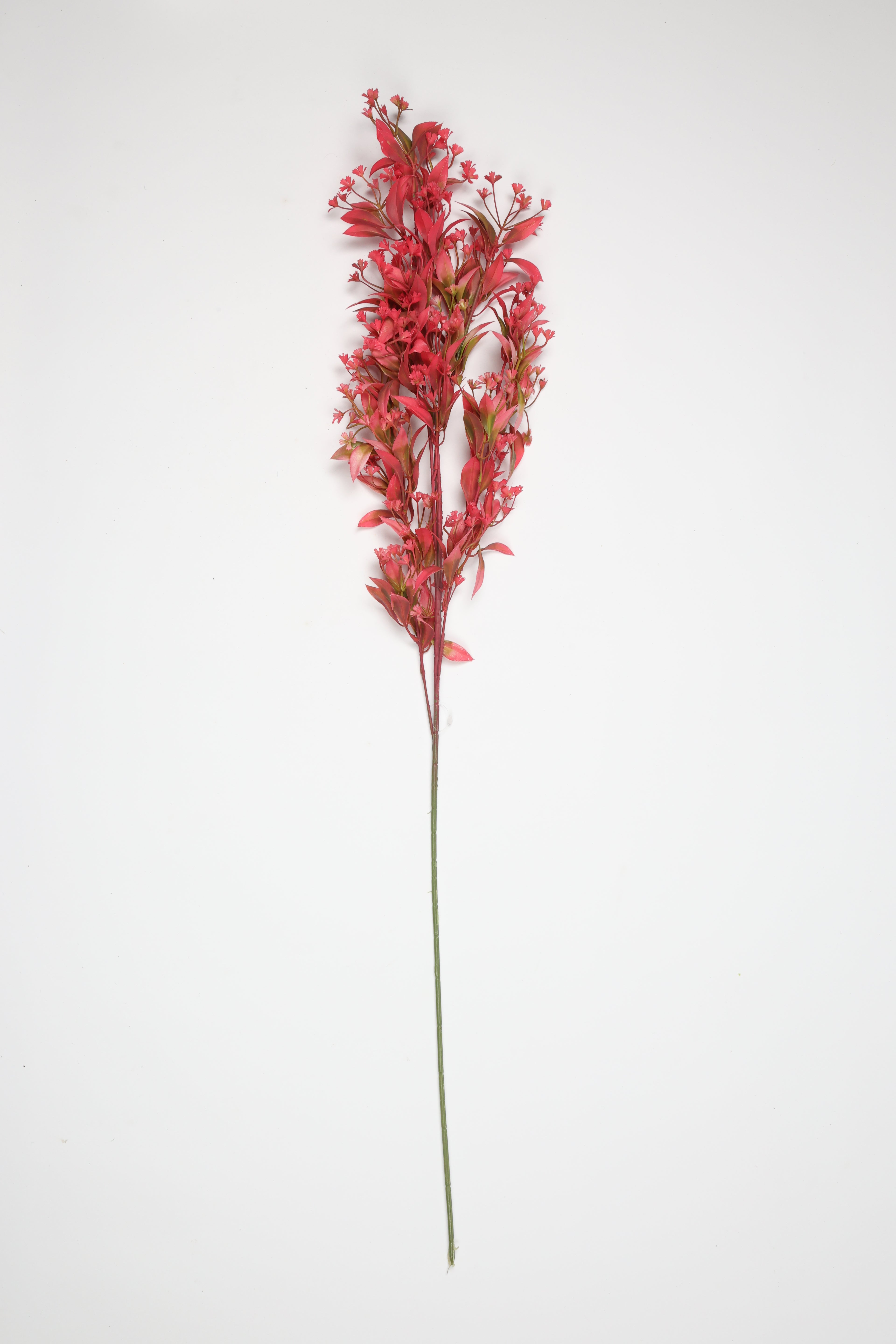 Dried Mini Leaf Stem -  Pink