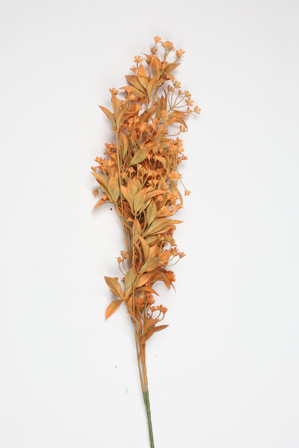 Dried Mini Leaf Stem - Orange