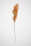 Dried Mini Leaf Stem - Orange