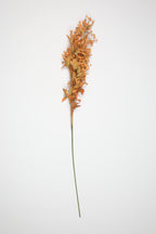 Dried Mini Leaf Stem - Orange