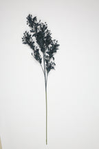 Dried Mini Leaf Steam-  Dark Green