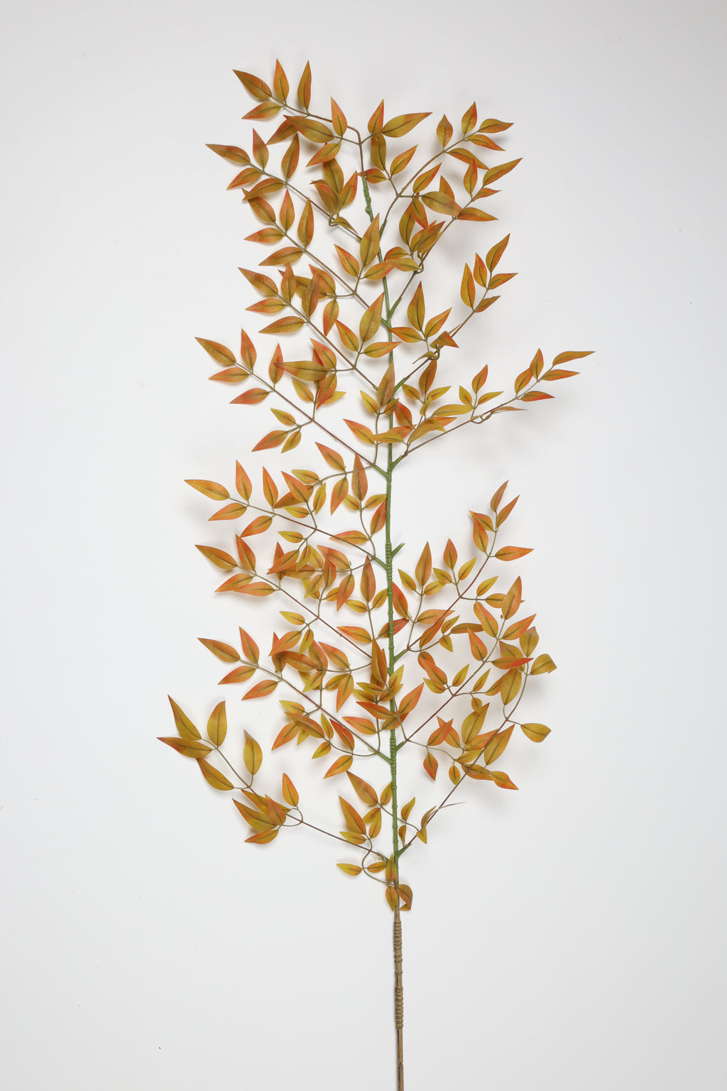 Nandina - Orange