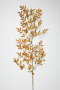 Nandina - Orange
