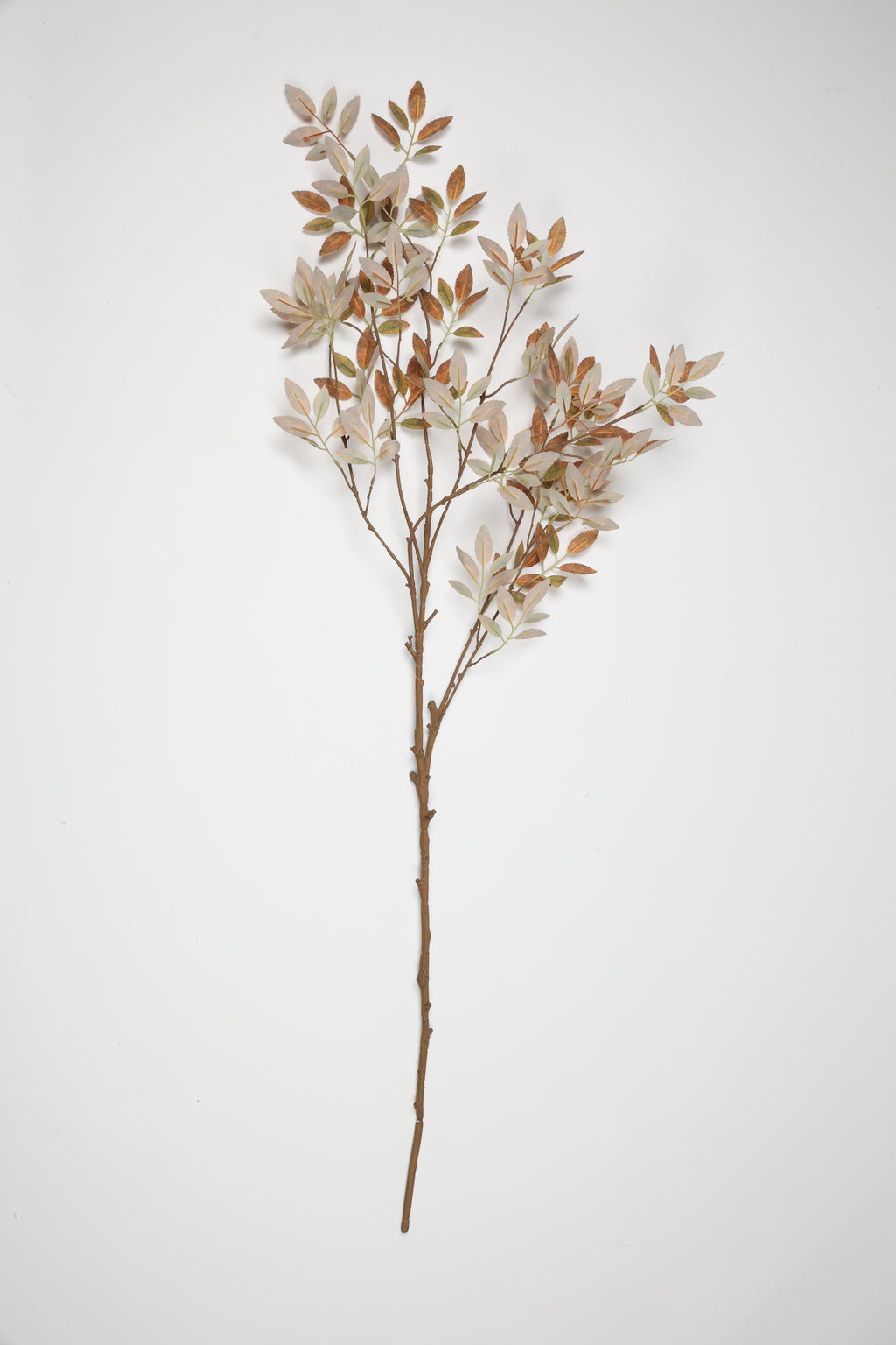 Tree Papers - White Brown