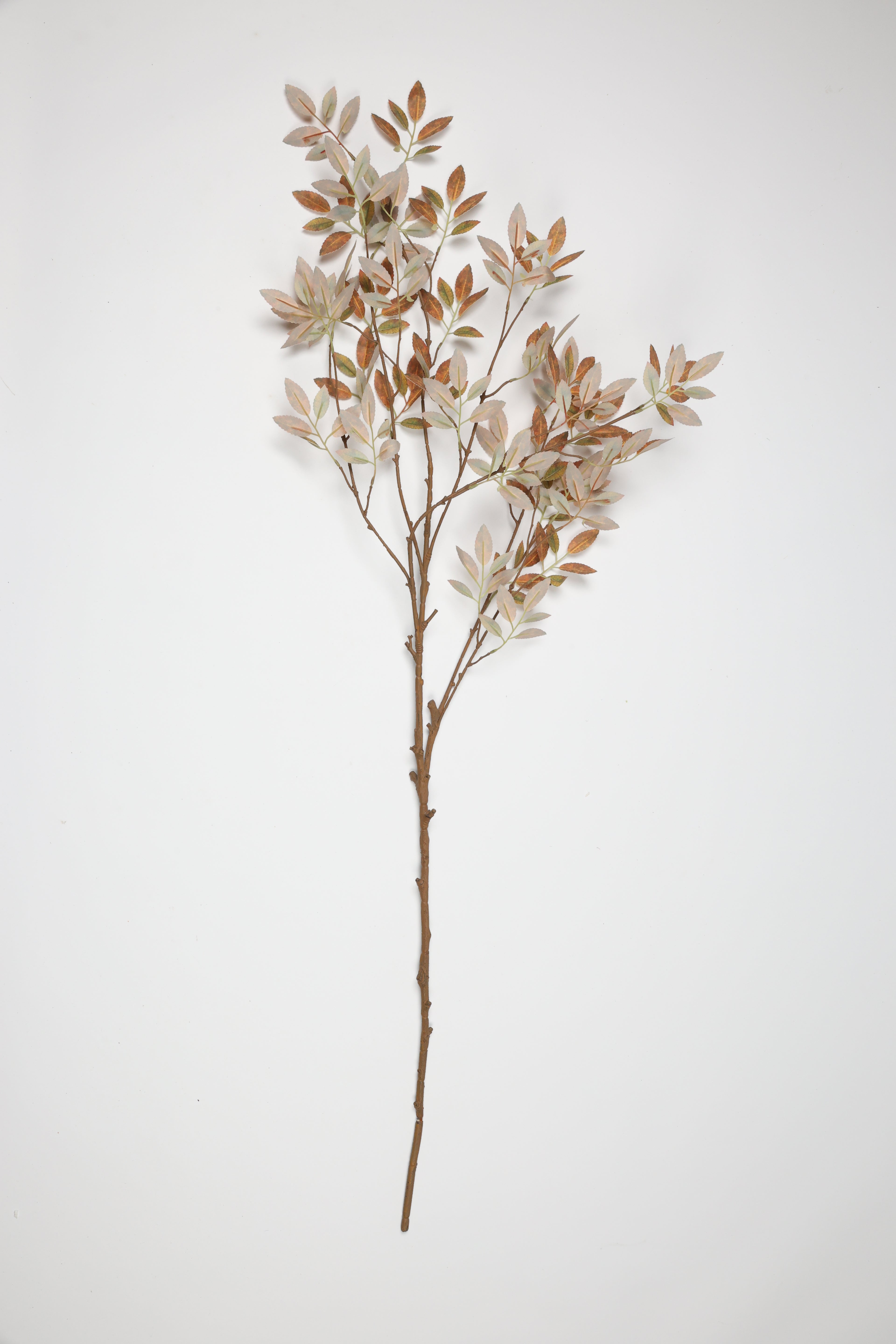 Tree Papers - White Brown