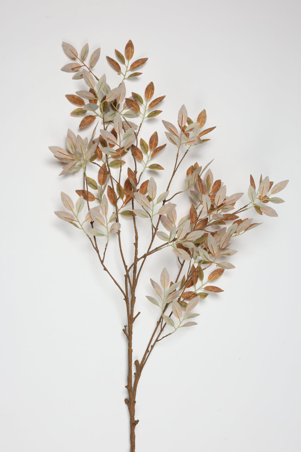 Tree Papers - White Brown