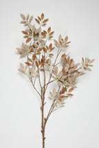 Tree Papers - White Brown