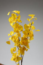 Ginkgo - Yellow