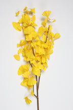 Ginkgo - Yellow