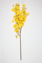 Ginkgo - Yellow