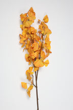 Ginkgo - Orange