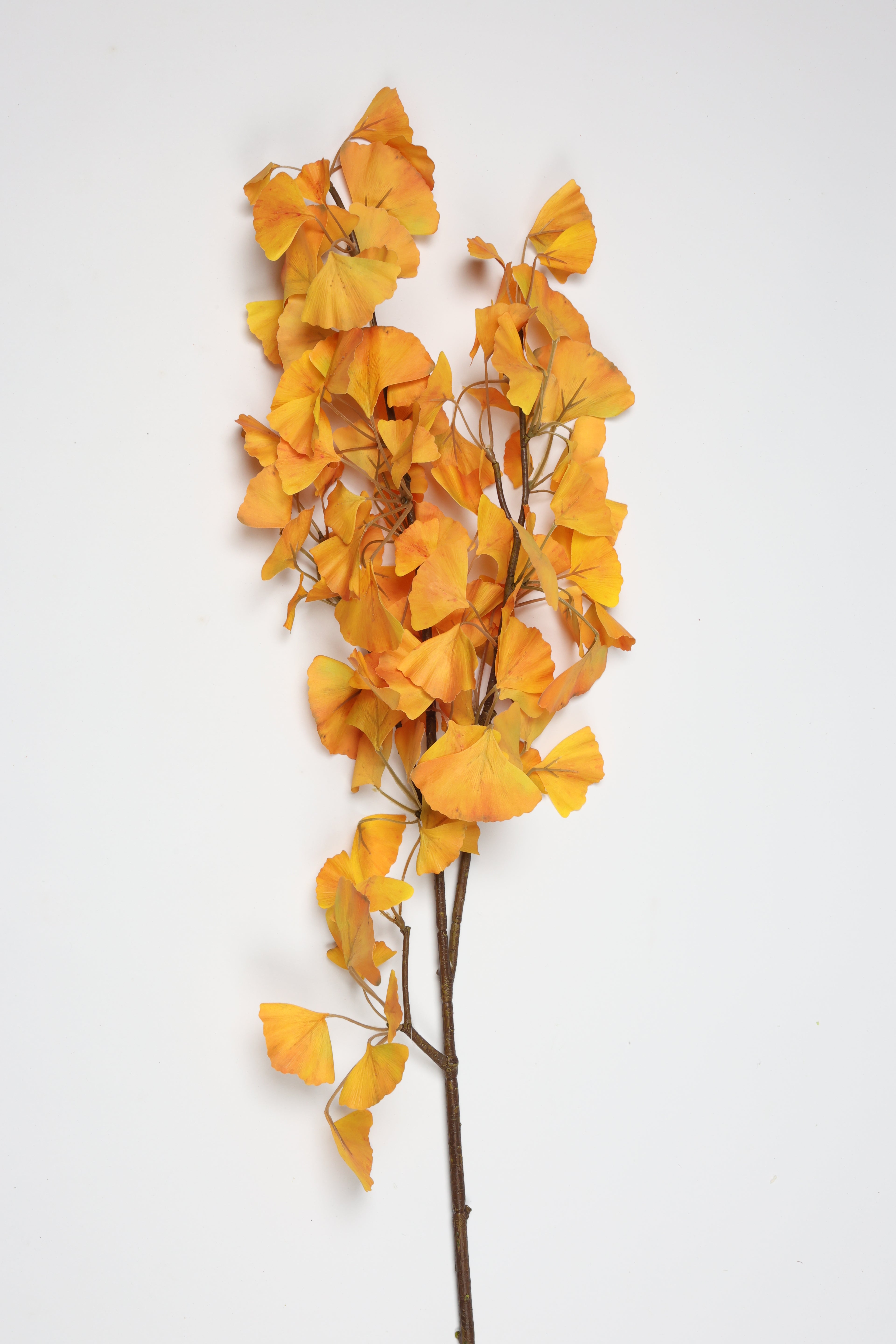 Ginkgo - Orange