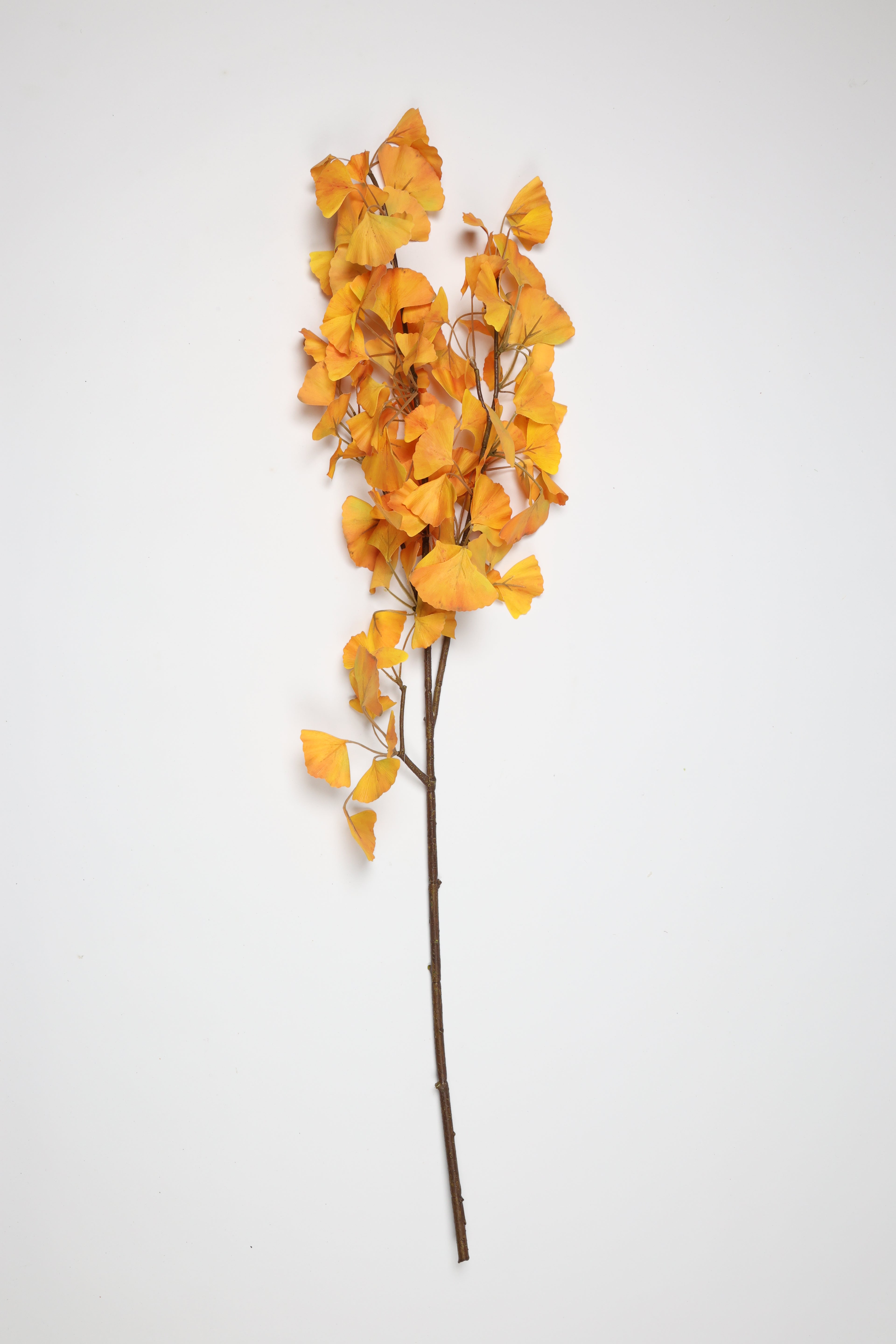 Ginkgo - Orange