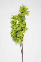 Gohanmia - Green 1 Line
