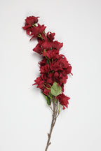 Gohanmia - Red 1 Line