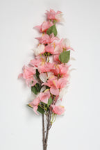 Gohanmia - Pink 1 Line