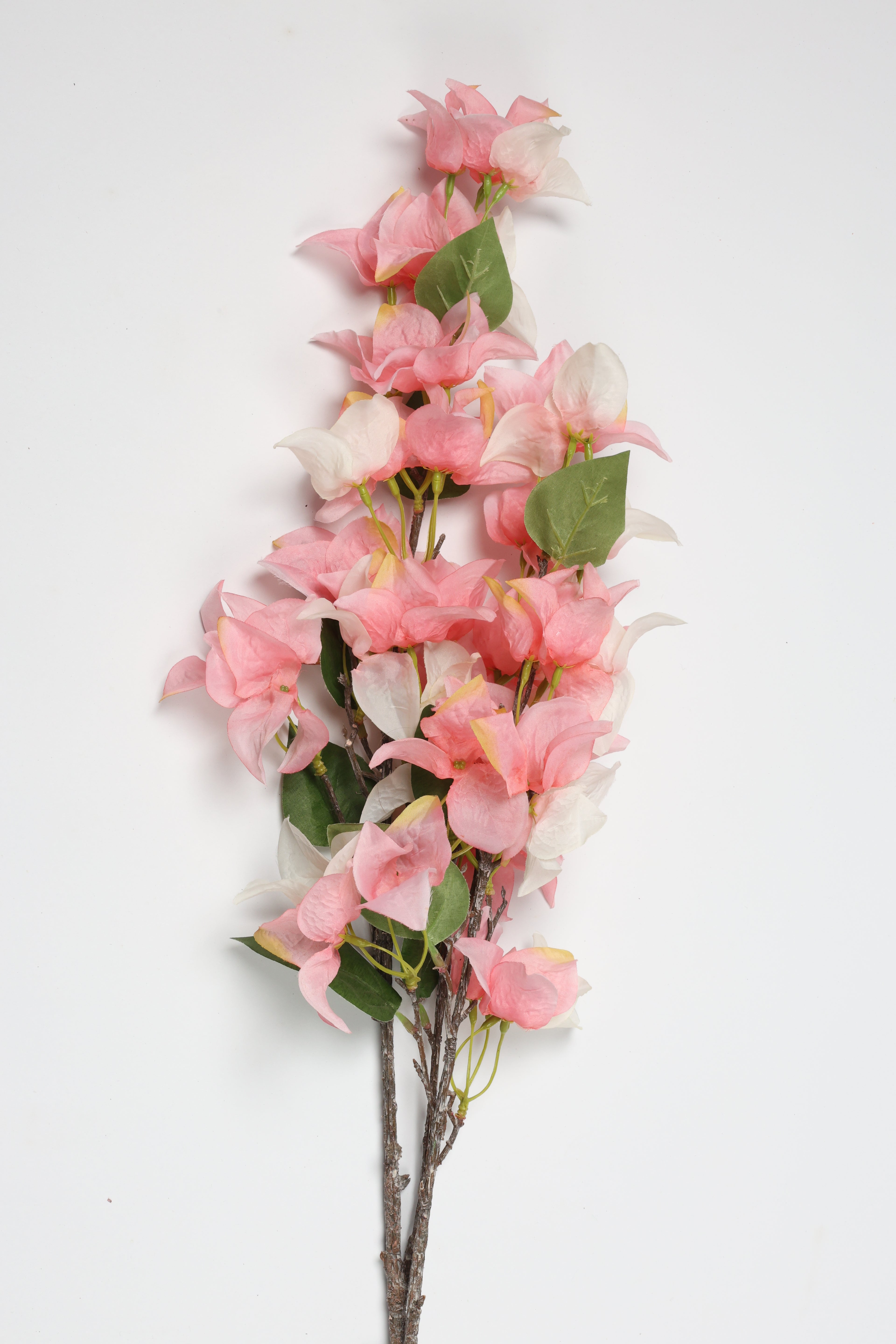 Magnolia   - 4 Flowers - Pink