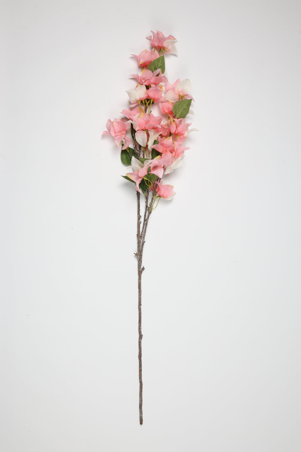 Magnolia   - 4 Flowers - Pink