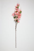 Magnolia   - 4 Flowers - Pink