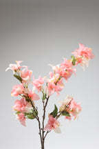 Gohanmia - Pink 1 Line